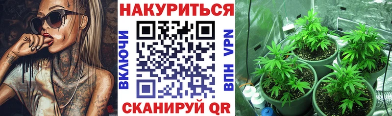 Канабис White Widow Владикавказ